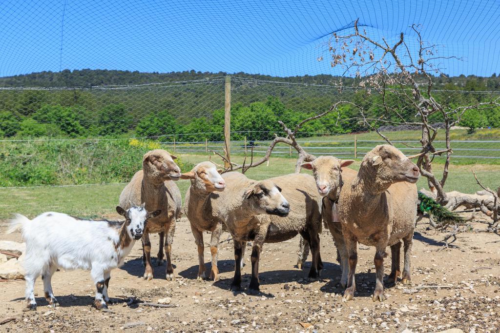 Lou Mas Li Pitchoun "Le Luberon " Villa Gordes Exterior photo